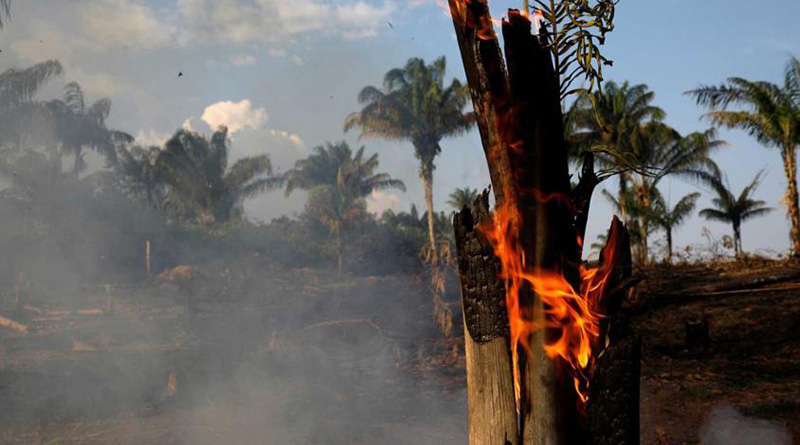 En este momento estás viendo Incendio en Amazonia: El humo podría propagarse al territorio porteño