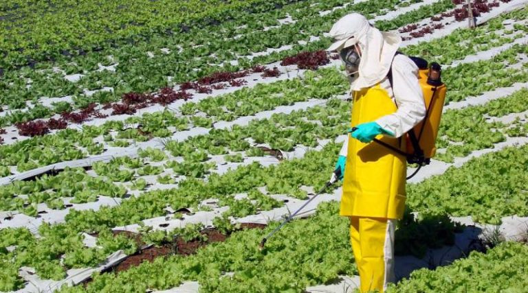 Lee más sobre el artículo Exigen cultivos y alimentos sin agrotóxicos frente al Congreso