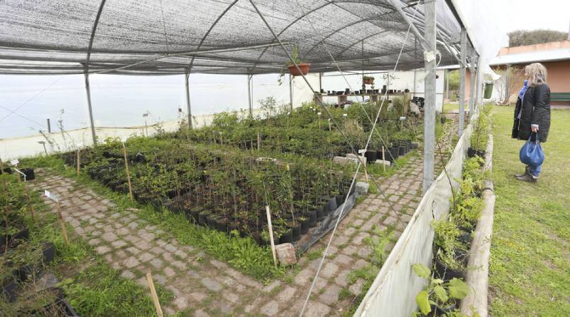 En este momento estás viendo La Ciudad plantó 70.000 flores en Parques y Plazas