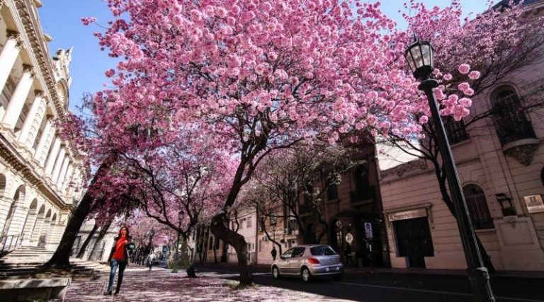 Lee más sobre el artículo El paisaje urbano de la Ciudad anticipa la primavera