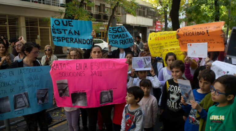 Lee más sobre el artículo Existen denuncias de 34 escuelas con ratas y el Gobierno de la Ciudad no quiere suspender las clases