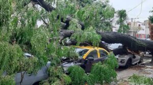 Lee más sobre el artículo Desde el Gobierno de la Ciudad negaron la falta de prevención luego de los destrozos por la tormenta