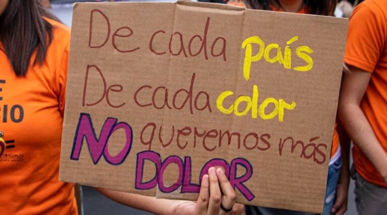 Lee más sobre el artículo Un informe alertó que en lo que va del año, existieron más de 270 crímenes por violencia de género